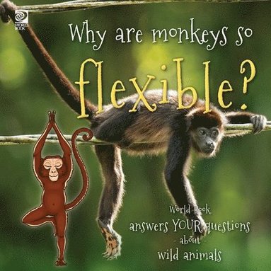 bokomslag Why are monkeys so flexible?