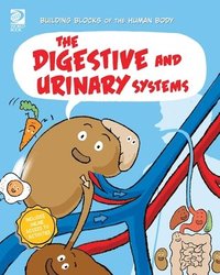 bokomslag Digestive and Urinary Systems