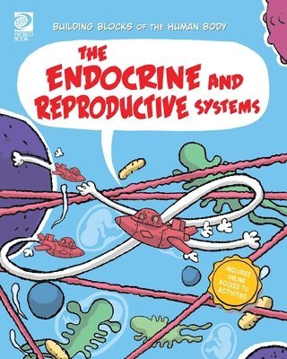 Endocrine and Reproductive Systems