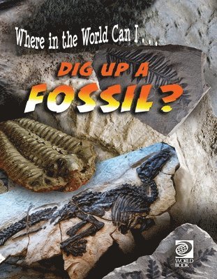Grace Guibert - Dig Up a Fossil?, Häftad