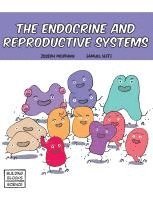 Endocrine and Reproductive Systems