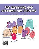 bokomslag The Endocrine and Reproductive Systems