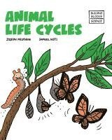 bokomslag Animal Life Cycles