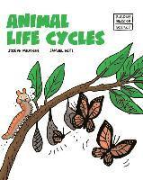 bokomslag Animal Life Cycles