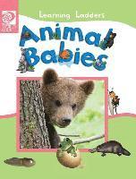 Animal Babies 1