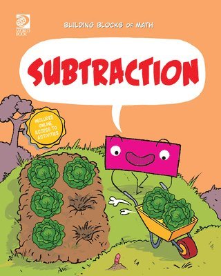 bokomslag Subtraction