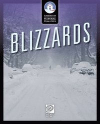bokomslag Blizzards