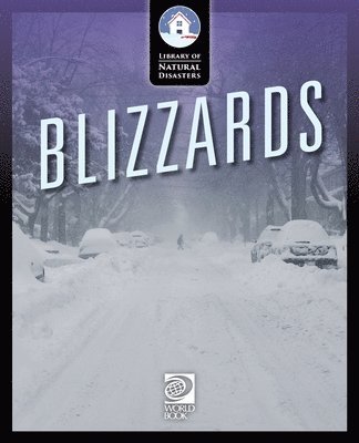 Blizzards 1