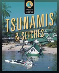 bokomslag Tsunamis & Seiches
