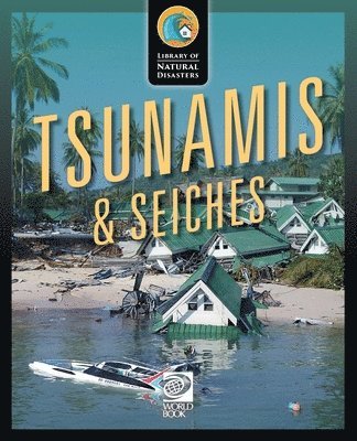 bokomslag Tsunamis & Seiches