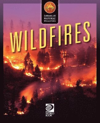 Wildfires 1