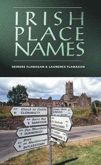 bokomslag Irish Place Names