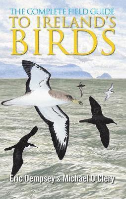 bokomslag The Complete Field Guide to Ireland's Birds