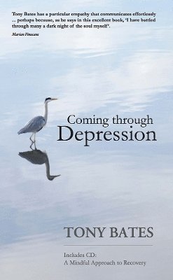 bokomslag Coming Through Depression