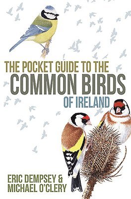 bokomslag The Pocket Guide to the Common Birds of Ireland