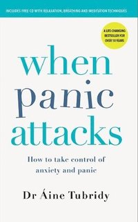 bokomslag When Panic Attacks