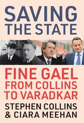 Ciara Meehan, Stephen Collins - Saving the State, Inbunden