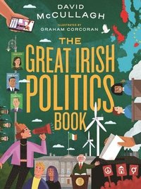 bokomslag The Great Irish Politics Book