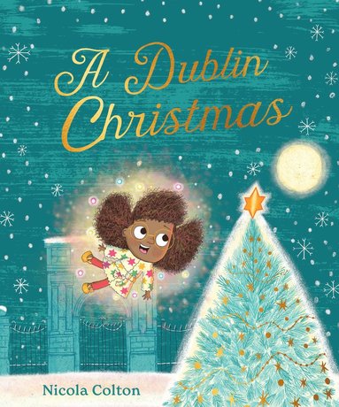 bokomslag Dublin Christmas