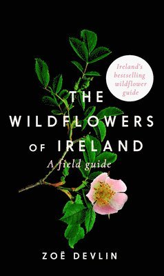 bokomslag The Wildflowers of Ireland