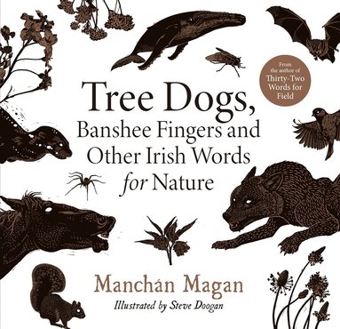 bokomslag Tree Dogs, Banshee Fingers and Other Irish Words for Nature