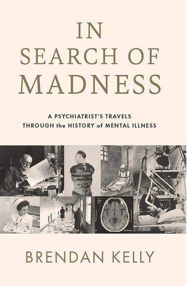 Brendan Kelly - In Search of Madness, Häftad