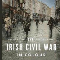 bokomslag The Irish Civil War in Colour