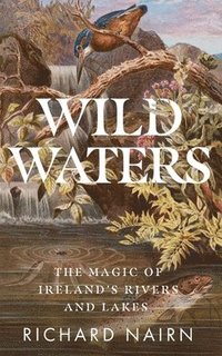 bokomslag Wild Waters