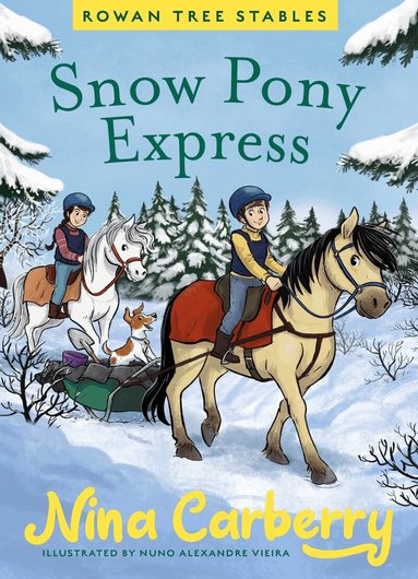 Nina Carberry - Rowan Tree Stables 3 - Snow Pony Express, Inbunden