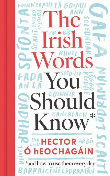 bokomslag Irish Words You Should Know