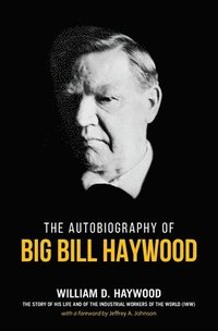 bokomslag Big Bill Haywood's Book