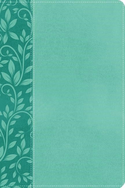 Kjv, gift bible, imitation leather, turquoise, red letter edition