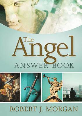 bokomslag Angel Answer Book