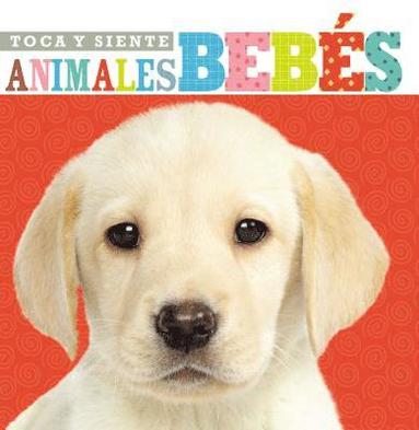 bokomslag Toca y siente animales bebs