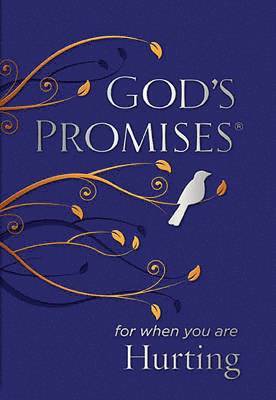 bokomslag God's Promises for When You are Hurting