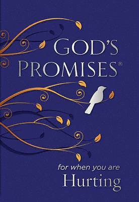 God's Promises for When You are Hurting