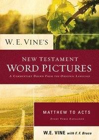 bokomslag W. E. Vine's New Testament Word Pictures: Matthew to Acts