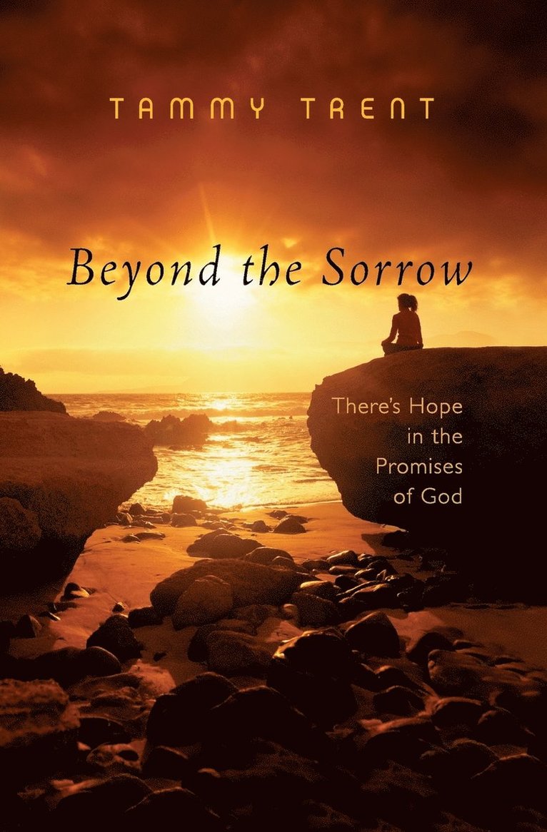 Beyond the Sorrow 1