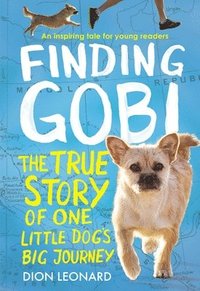 bokomslag Finding Gobi: Young Reader's Edition: The True Story of One Little Dog's Big Journey