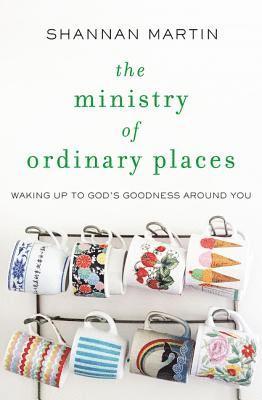 The Ministry of Ordinary Places 1