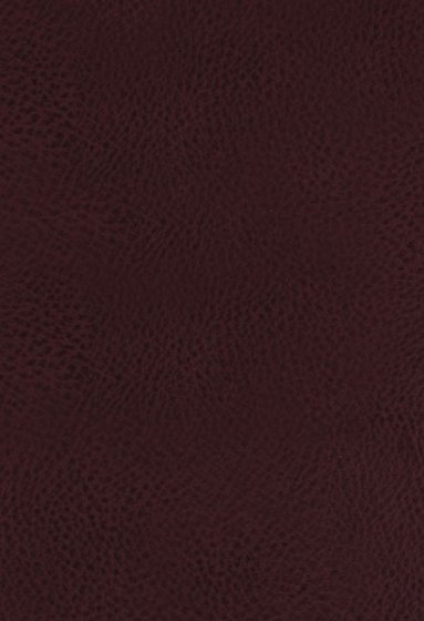 bokomslag KJV, The King James Study Bible, Bonded Leather, Burgundy, Thumb Indexed, Red Letter, Full-Color Edition