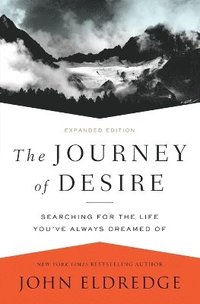 bokomslag Journey of Desire