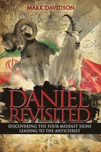 bokomslag Daniel Revisited