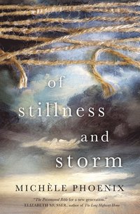 bokomslag Of Stillness and Storm
