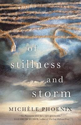 bokomslag Of Stillness and Storm