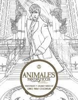 bokomslag Animales Fantasticos Y Donde Encontrarlos: Personajes Y Lugares Magicos. Libro P