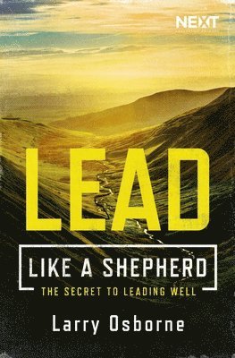 Lead Like a Shepherd 1