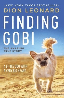 bokomslag Finding Gobi: A Little Dog with a Very Big Heart