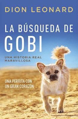 búsqueda de Gobi