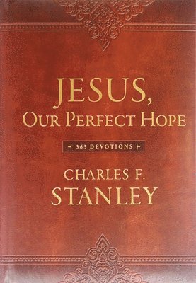 bokomslag Jesus, Our Perfect Hope